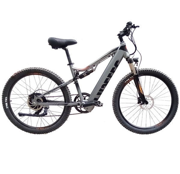 E-MOUNTAIN-BIKE