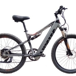 Full suspension EMTB