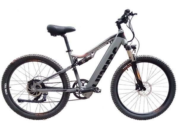 Full suspension EMTB